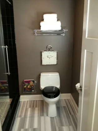 Bathroom renovation after image showing toilet and shower door